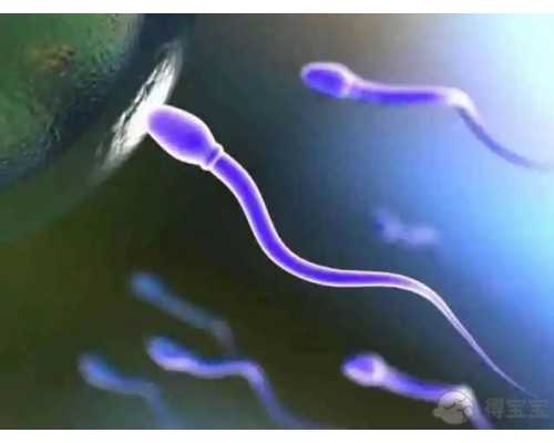 廣東找人代懷,哈爾濱試管助孕生子機(jī)構(gòu)排名一覽