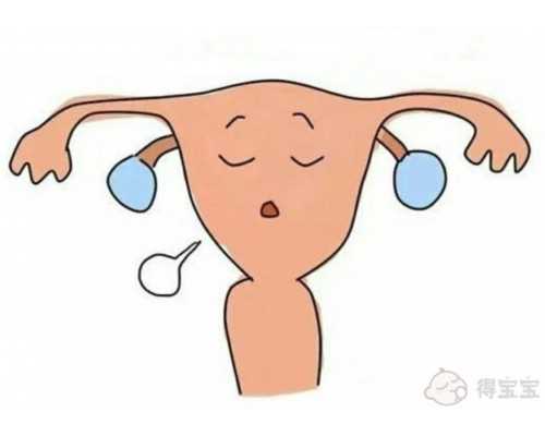 合肥找供卵女,廣州供卵試管機(jī)構(gòu)：做第三代試管女人要受哪些罪？